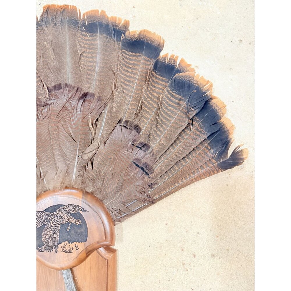 Hunting Mount Wild Turkey Hunt Trophy Tail Beard Mount 29” Wood Plaque Panel Tax - Picture 7 of 12